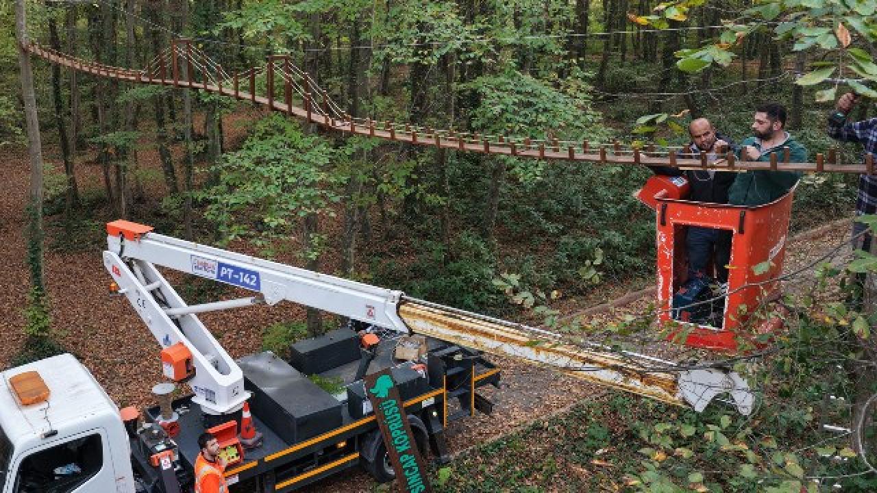 Ormanda sincaplar için köprü yaptılar
