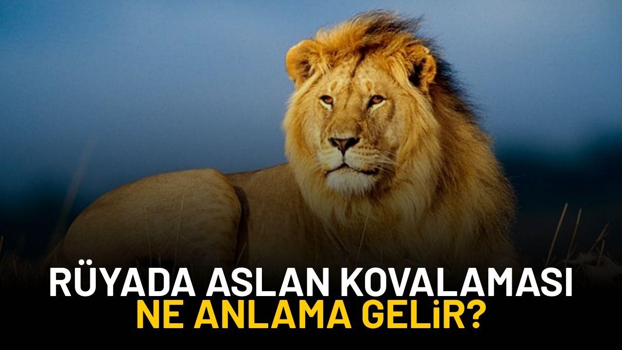Rüyada aslan kovalaması görmek ne anlama gelir?