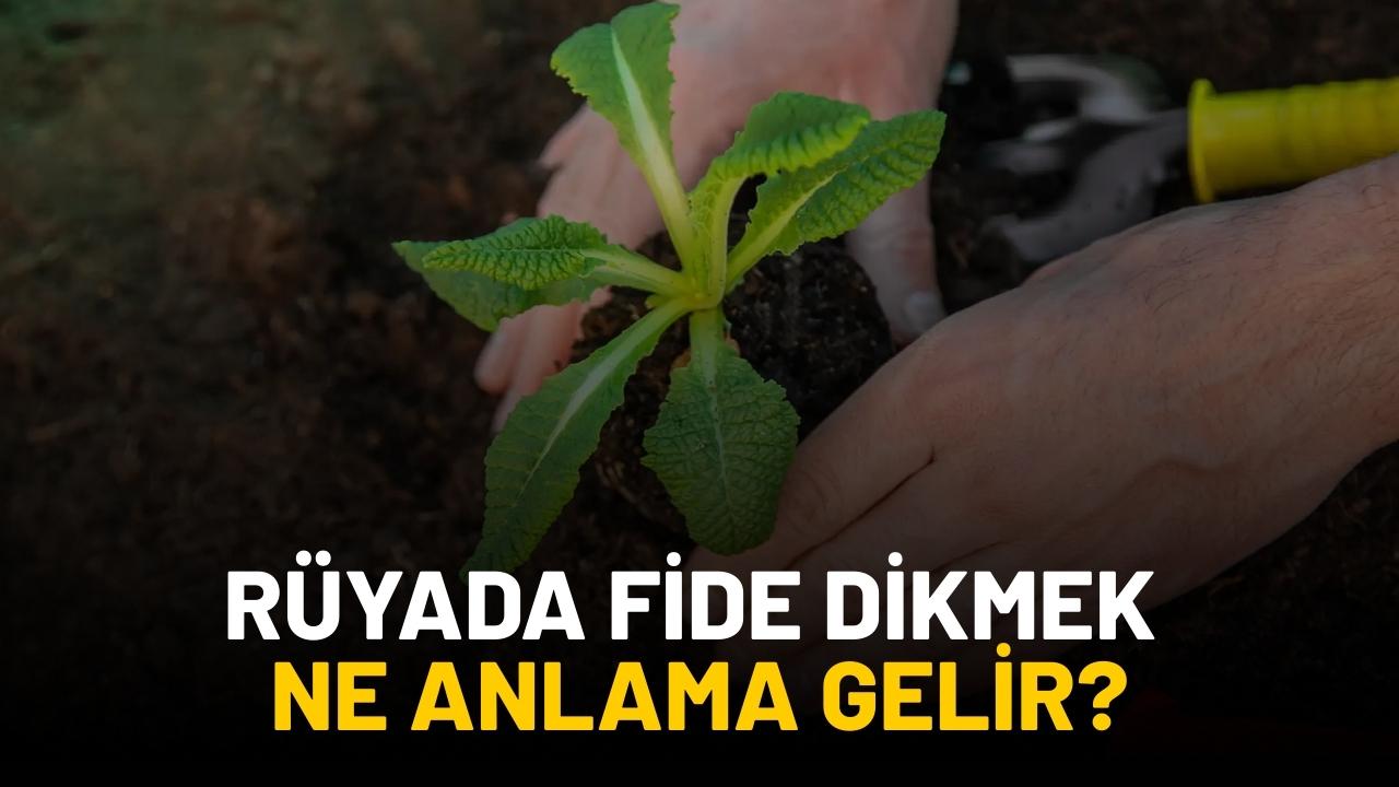 Rüyada fide dikmek ne anlama gelir?