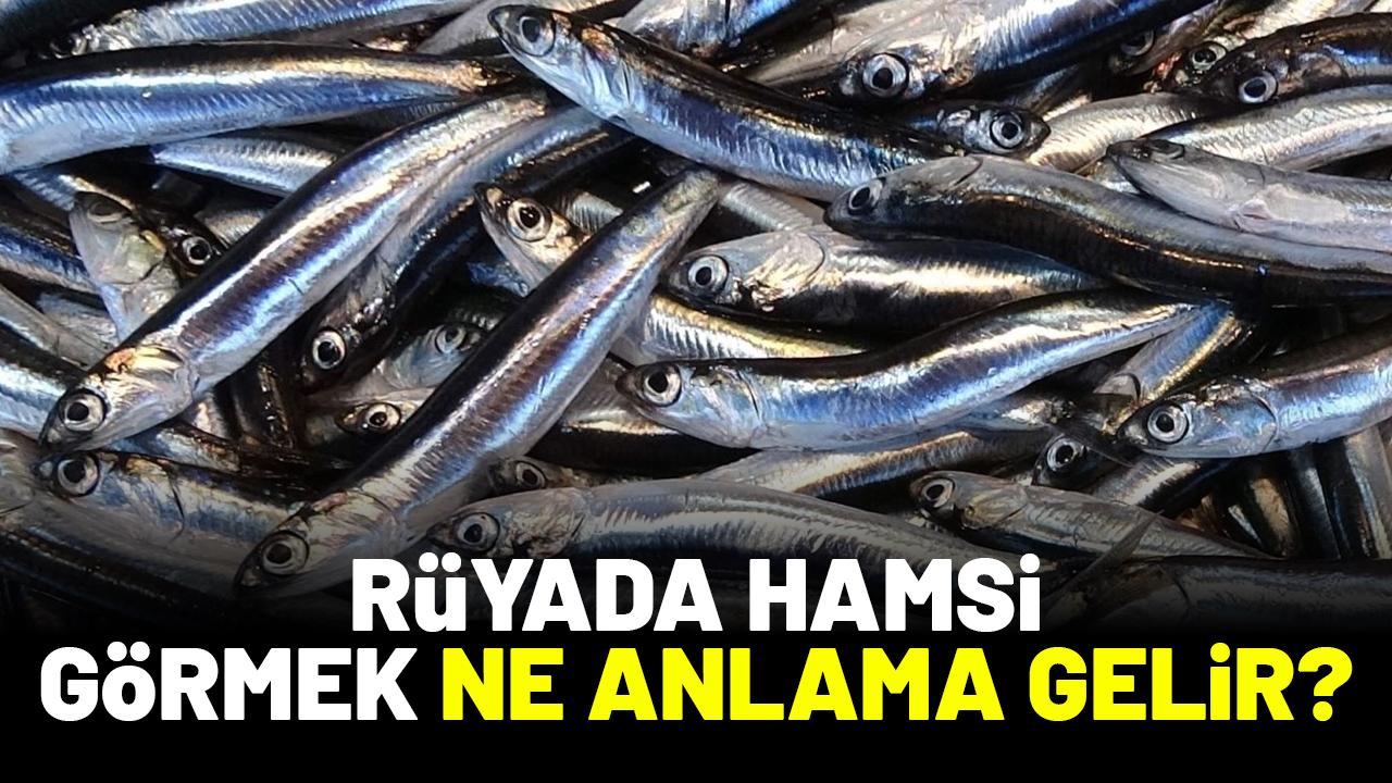 Rüyada hamsi görmek ne anlama gelir?