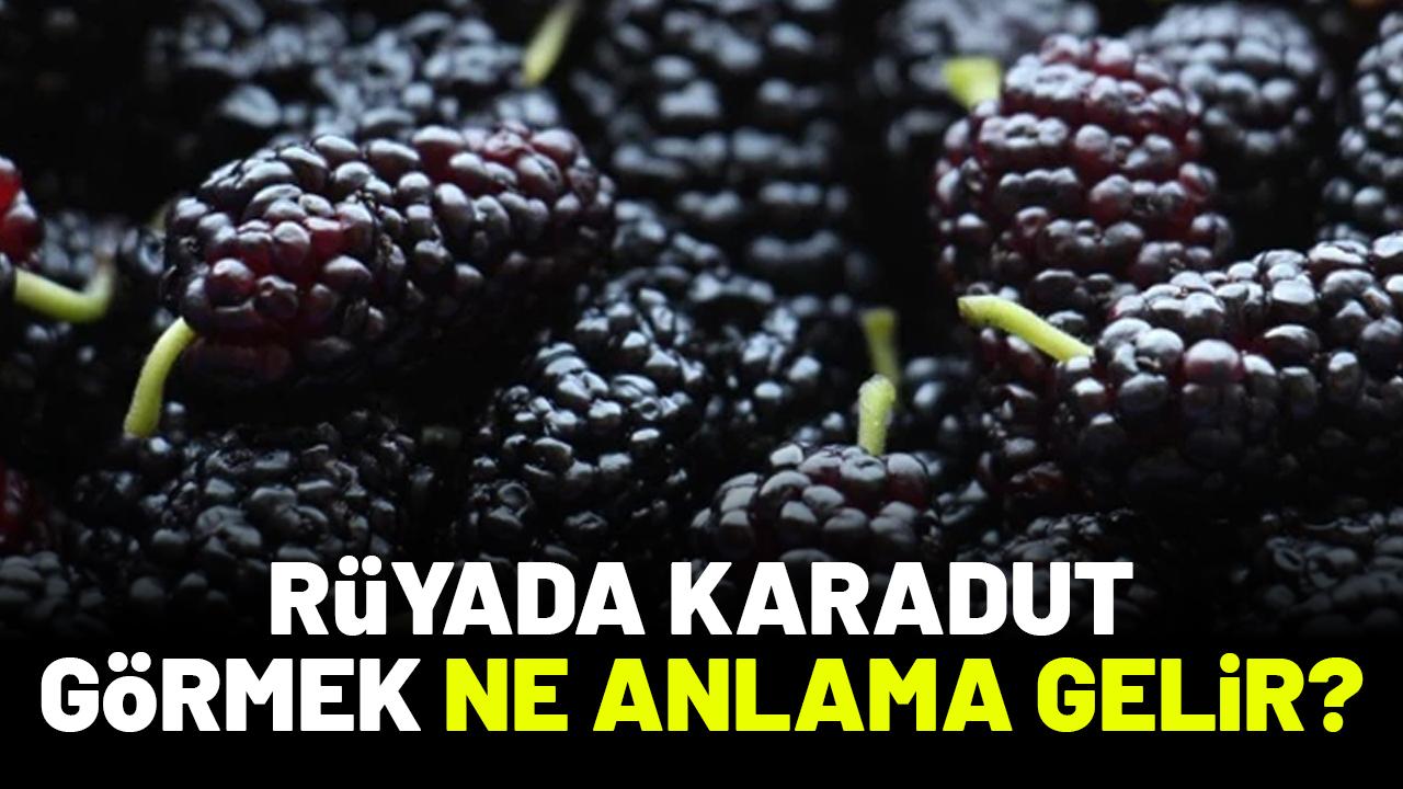 Rüyada karadut görmek ne anlama gelir?