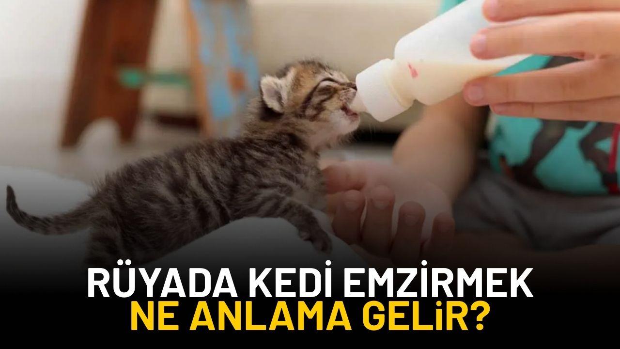 Rüyada kedi emzirmek ne anlama gelir?