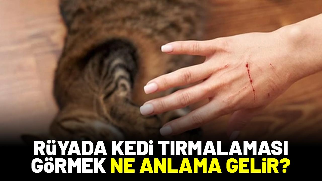 Rüyada kedi tırmalaması görmek ne anlama gelir?