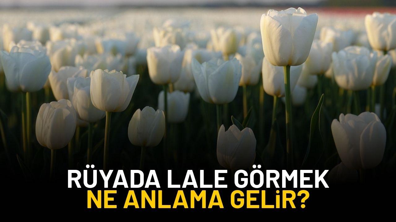 Rüyada lale görmek ne anlama gelir?
