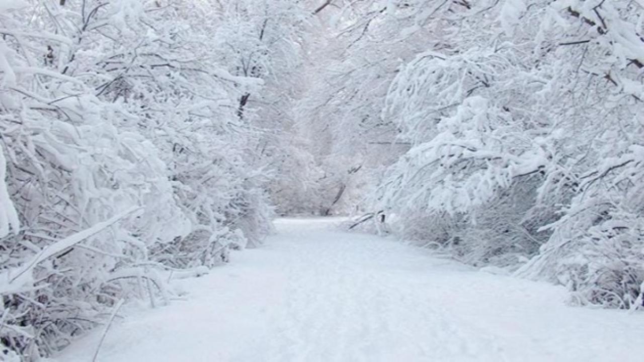 Sabah erken saatte liste yenilendi! Kar yağacak iller belli oldu