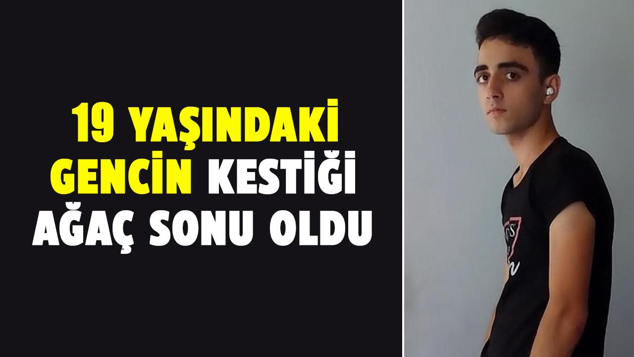 Samsun'da 19 yaşındaki Tekin Gönültaş'ın kestiği ağaç sonu oldu!