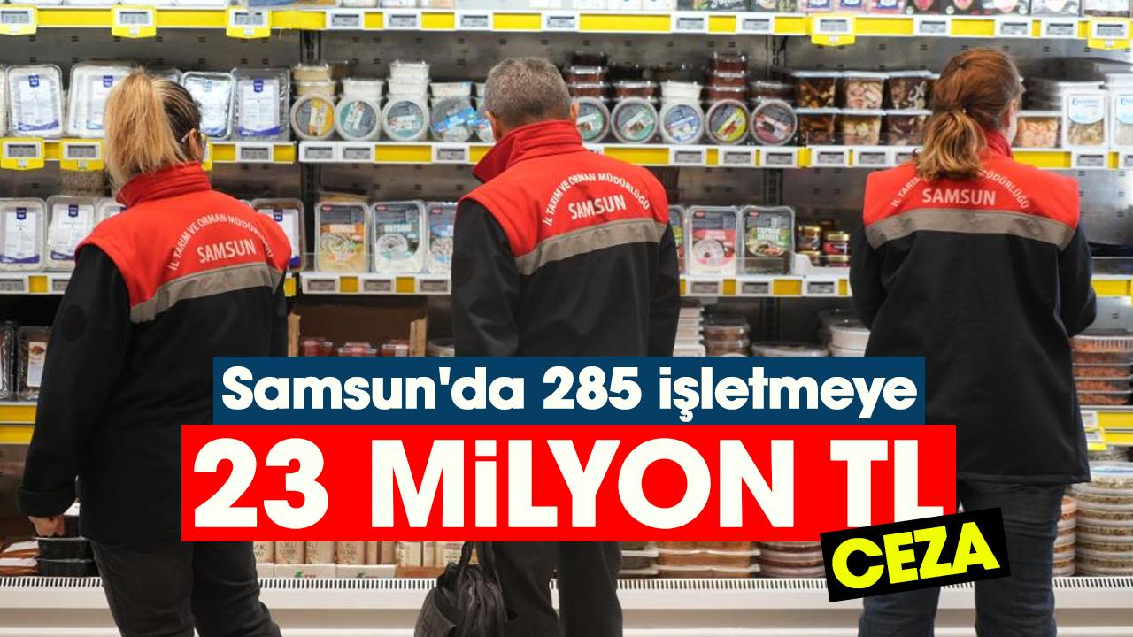 Samsun'da 285 işletmeye 23 milyon TL ceza
