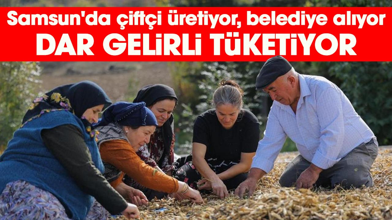 Samsun'da çiftçi üretiyor, belediye alıyor, dar gelirli tüketiyor