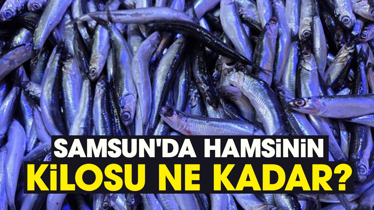 Samsun'da hamsinin kilosu ne kadar?