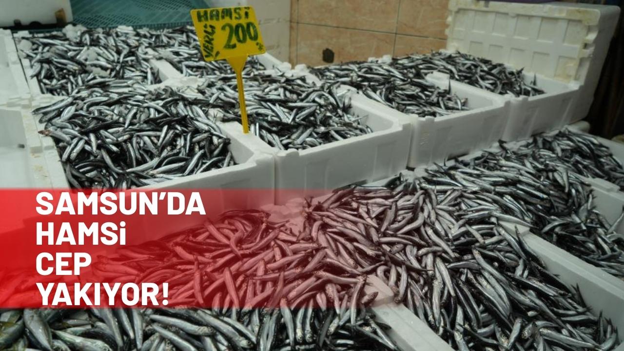 Samsun'da hamsinin kilosu yeniden yükseldi