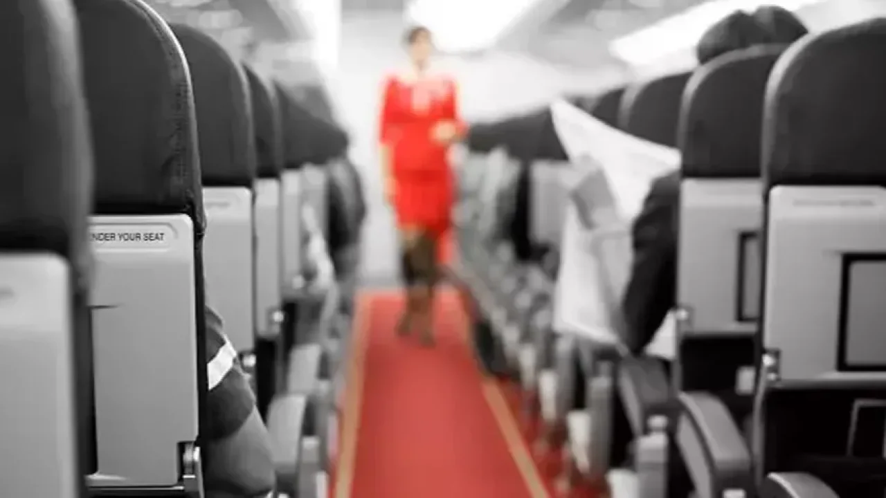 Türk Hava Yolları 12 bin kabin memuru alımı yapacak