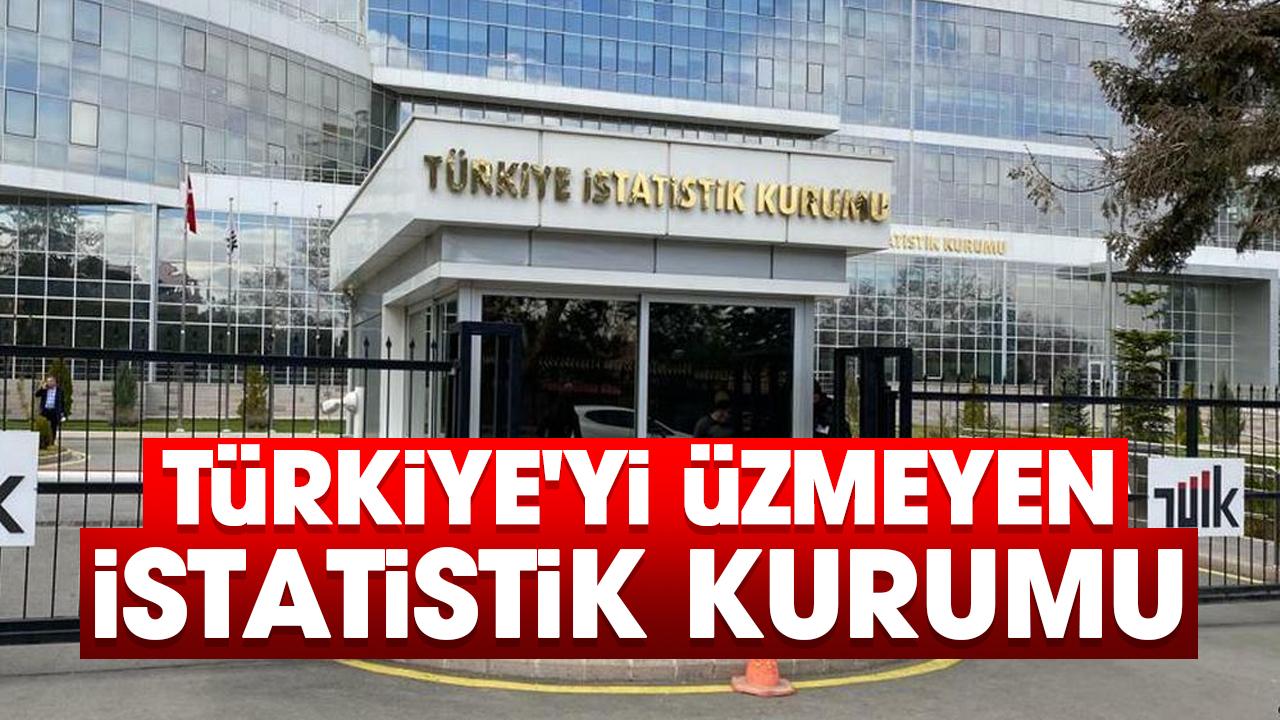 Türkiye'yi üzmeyen istatistik kurumu