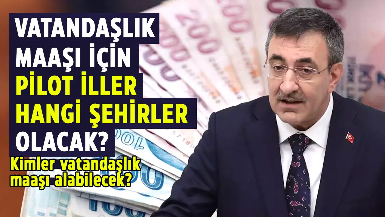 Vatandaşlık maaşı için pilot iller hangi şehirler olacak? Kimler vatandaşlık maaşı alabilecek?