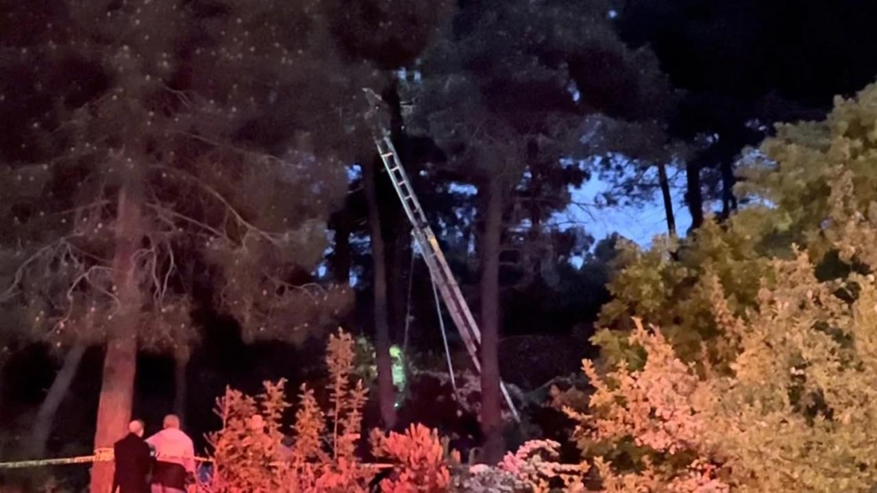 25 yaşındaki genç ağaca asılı bulundu