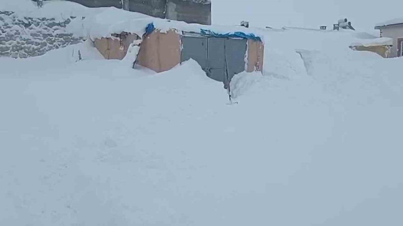3 metre kar yağdı, hayvanlarının bulunduğu ahırın kapısını bulamadı