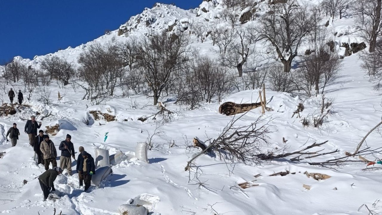 Ahırların üzerine çığ düştü, küçükbaş hayvanlar telef oldu