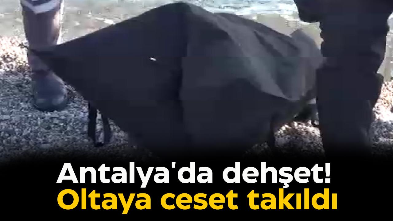Antalya'da dehşet! Oltaya ceset takıldı