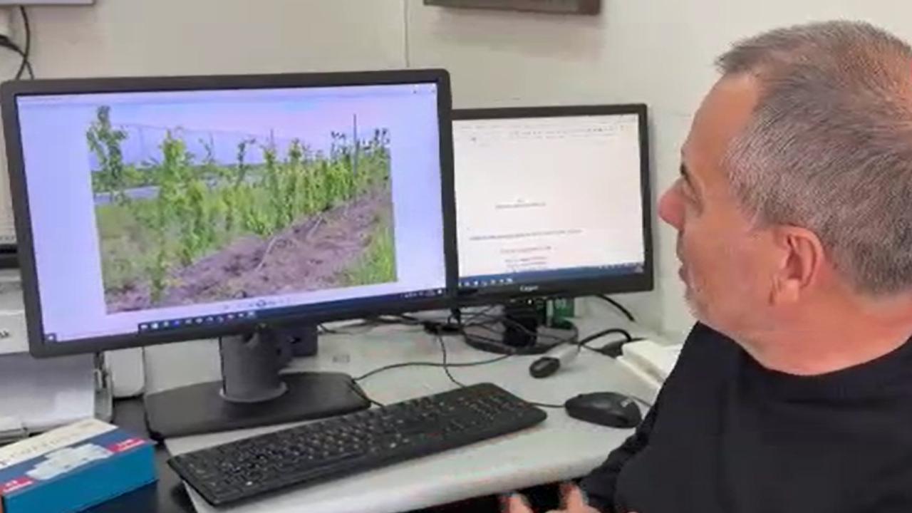 Arazide en fazla zararı ilkbahar donu veri