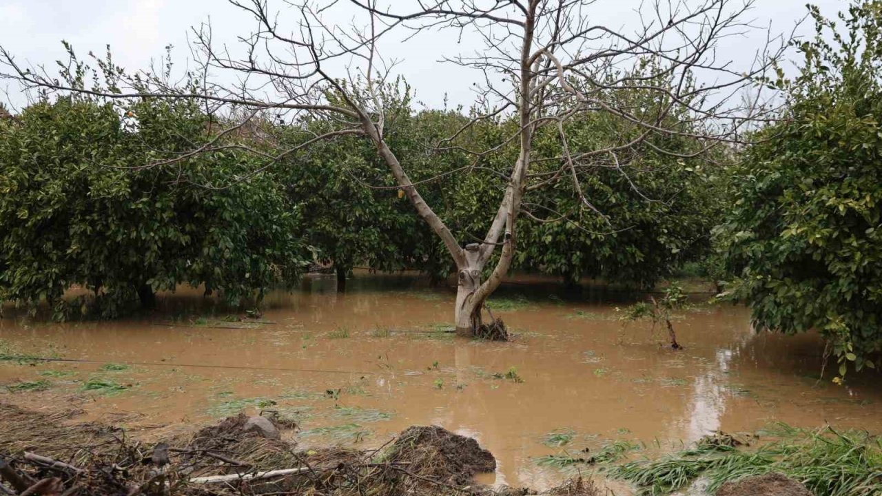 Bahçeler göle döndü, ağaçlar sular altında kaldı