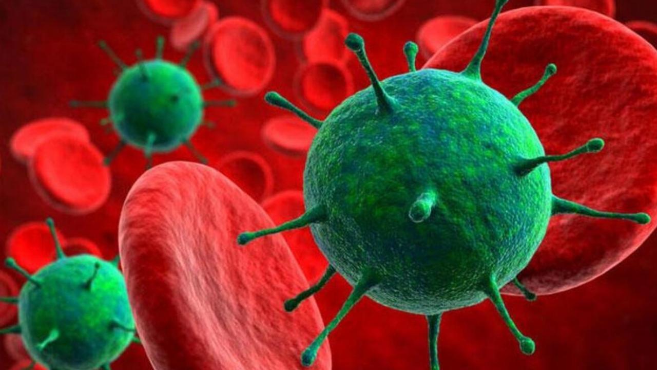 Bocavirüs nedir? Nasıl bulaşır?