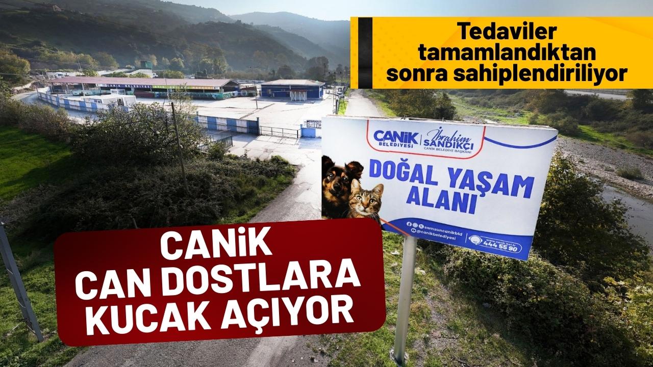 Canik Belediyesi can dostlara kucak açıyor