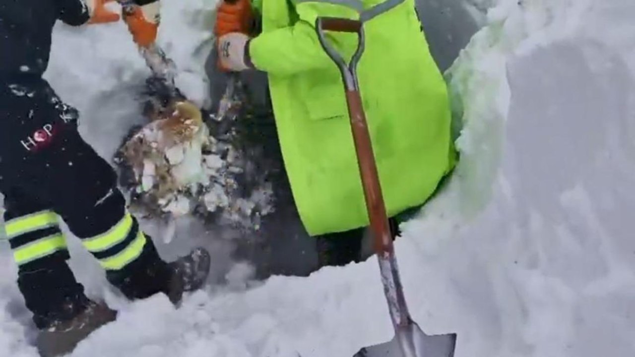 Çığ bölgesinde arama kurtarma devam ediyor!  3 çobandan birinin cansız bedenine ulaşıldı