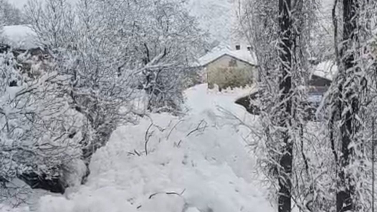 Çığ yerleşim yerine indi: Facianın eşiğinden dönüldü