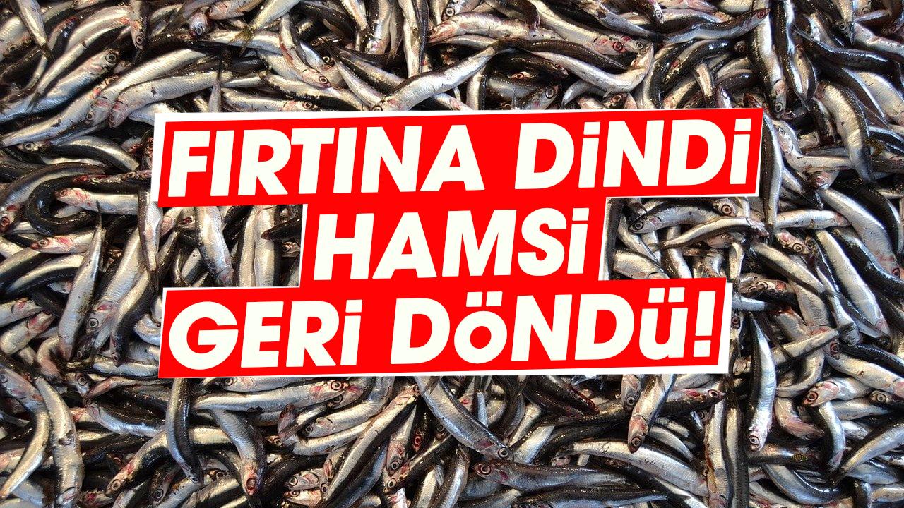 Fırtına dindi, hamsi geri döndü! Samsun tezgahlarında yüzler güldü