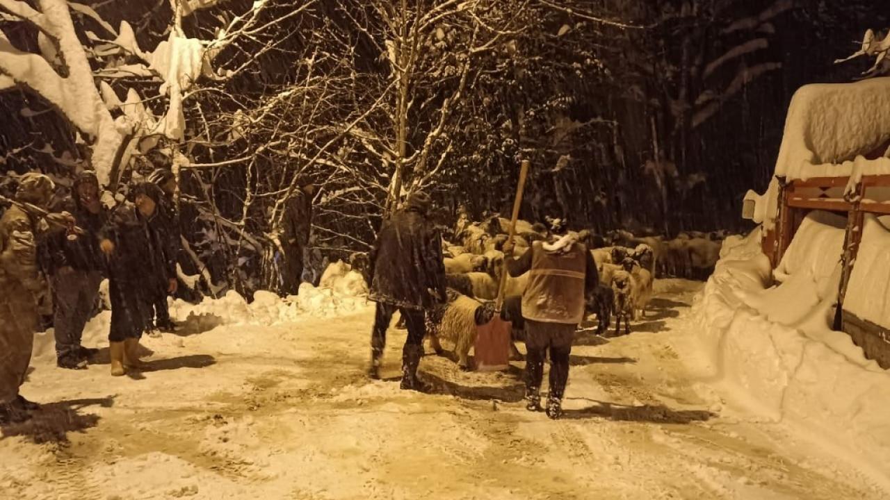 Giresun’da çoban çığ altında kaldı