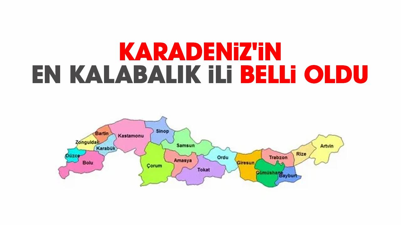 Karadeniz'in en kalabalık ili belli oldu