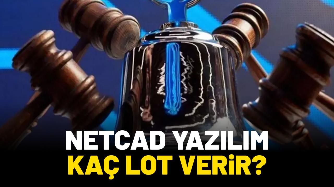 Netcad Yazılım kaç lot verir?