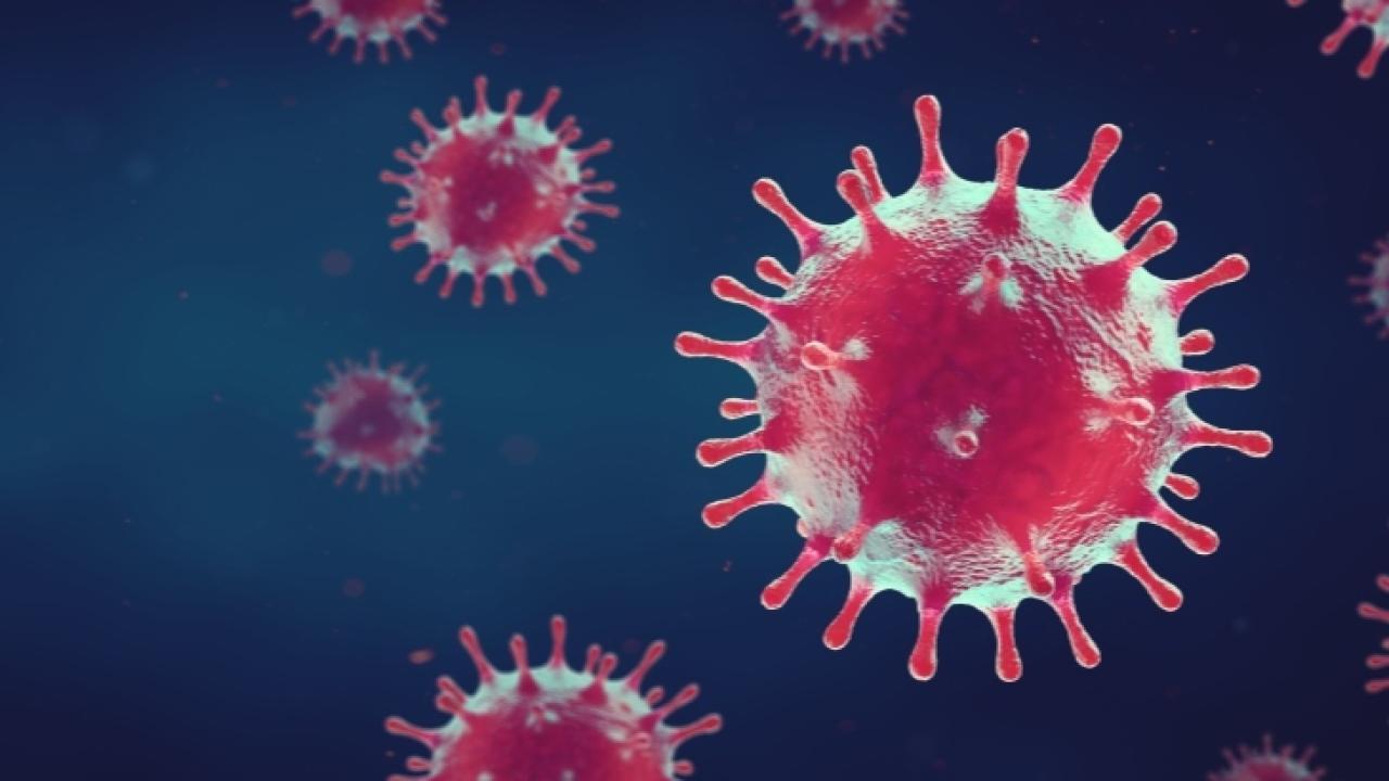 Nipah virüsü nedir? Nipah virüsü belirtileri