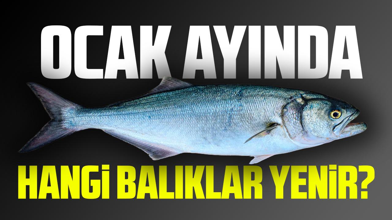 Ocak ayında hangi balıklar yenir?