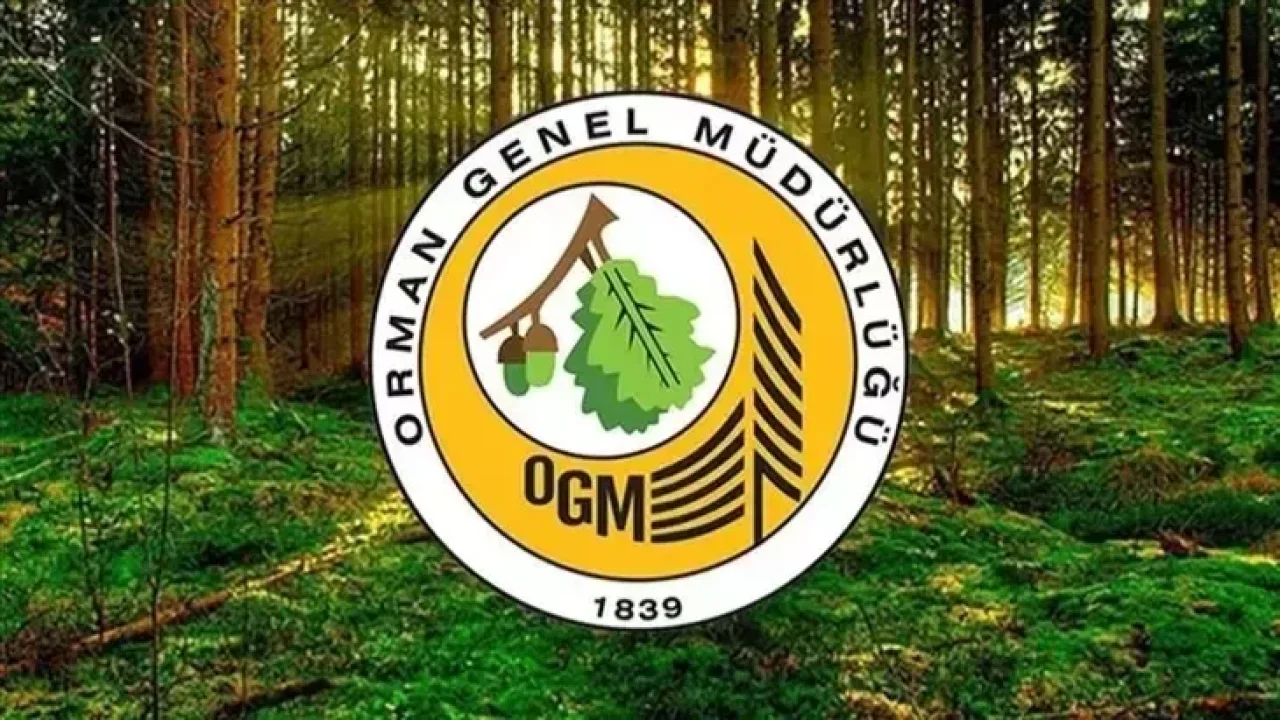 OGM 496 sözleşmeli personel alımı sonuçları