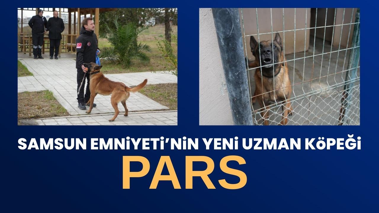 OMÜ'de yetiştirilen görev köpeği Pars Samsun Emniyeti'ne teslim edildi