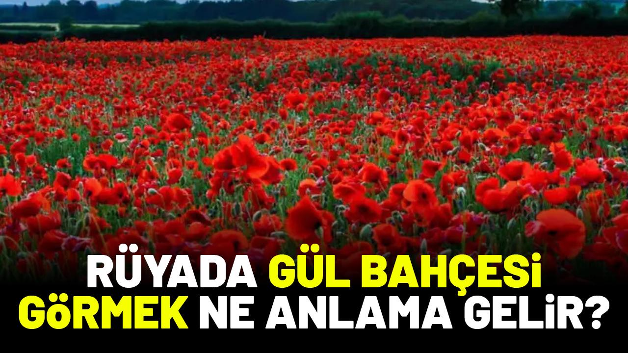 Rüyada gül bahçesi görmek ne anlama gelir?