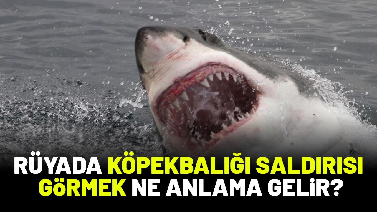 Rüyada köpekbalığı saldırısına uğramak ne anlama gelir?