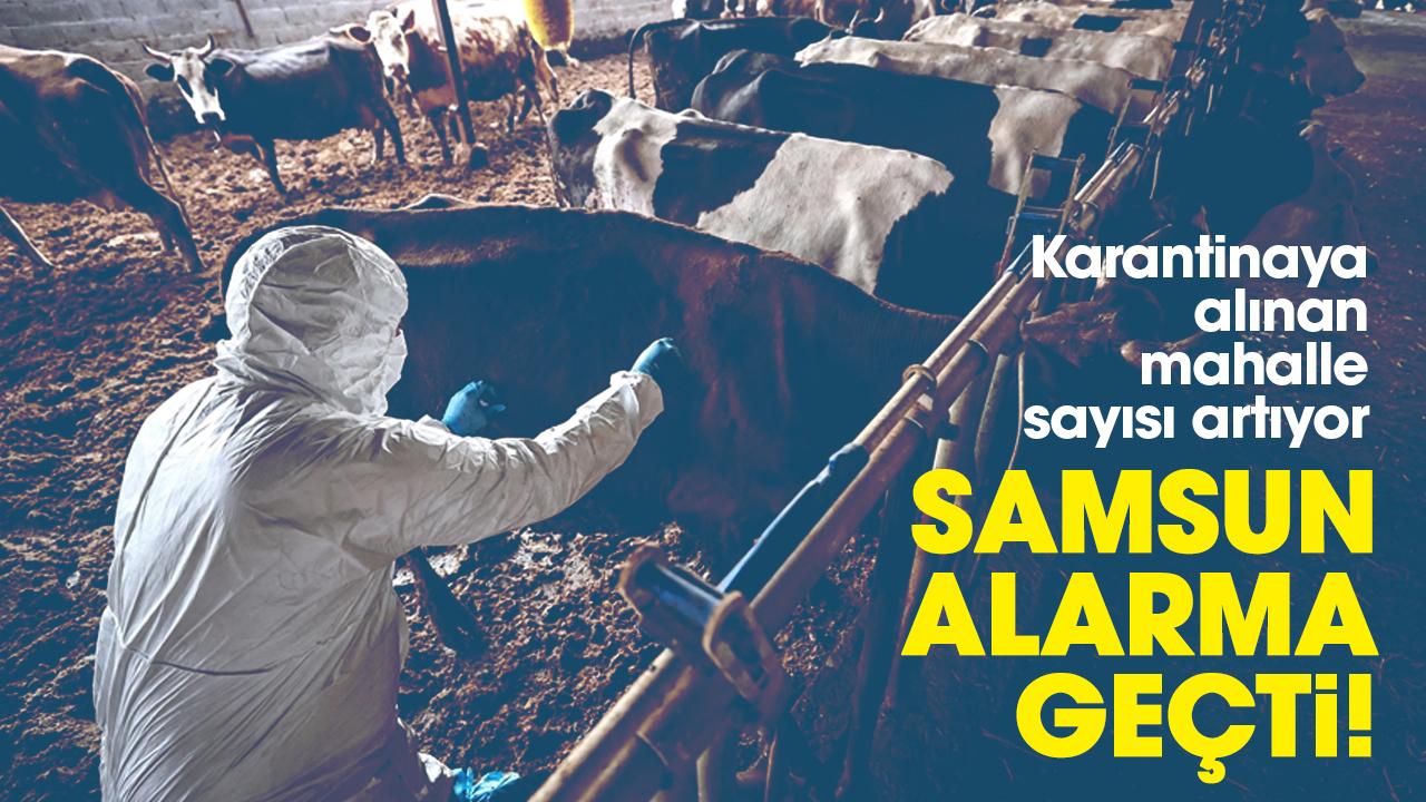 Samsun alarma geçti! Karantinaya alınan mahalle sayısı artıyor