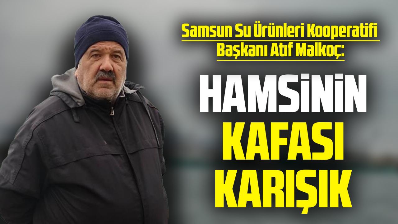 Samsun Su Ürünleri Kooperatifi Başkanı Atıf Malkoç: Hamsi Türkiye'ye dönmezse balıkçı zor durumda kalır