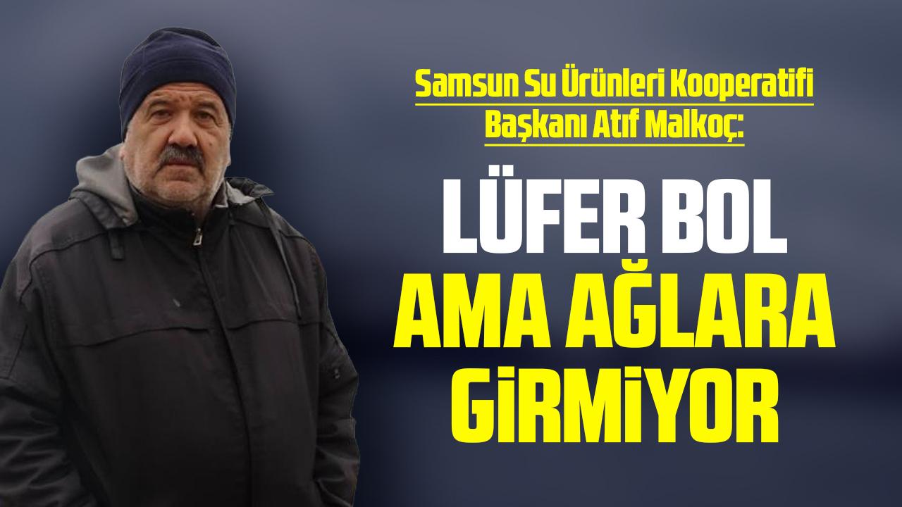 Samsun Su Ürünleri Kooperatifi Başkanı Atıf Malkoç: Lüfer bol ama ağlara girmiyor