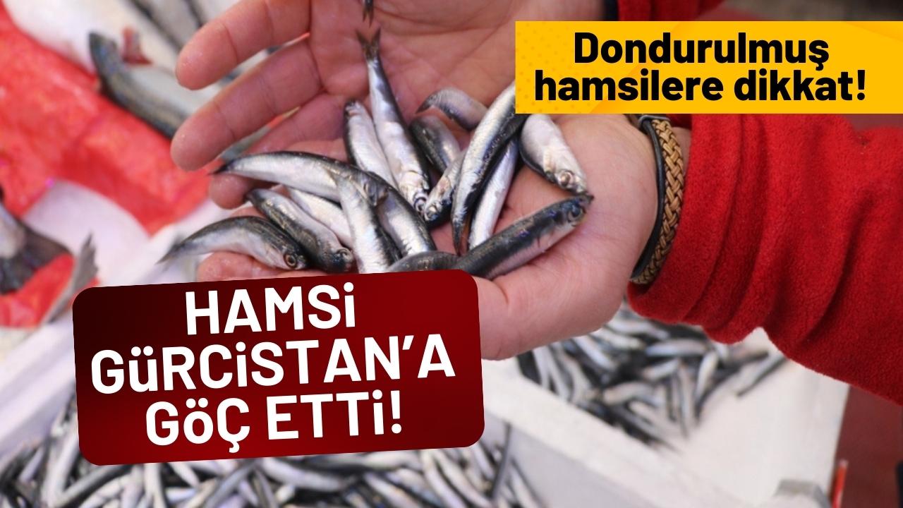 Samsun Su Ürünleri Kooperatifleri Birliği Başkanı Malkoç: Hamsi Gürcistan'a göç etti