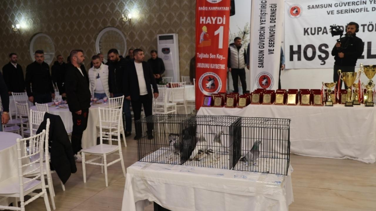 Samsun Türkiye'deki güvercin severlere ev sahipliği yaptı