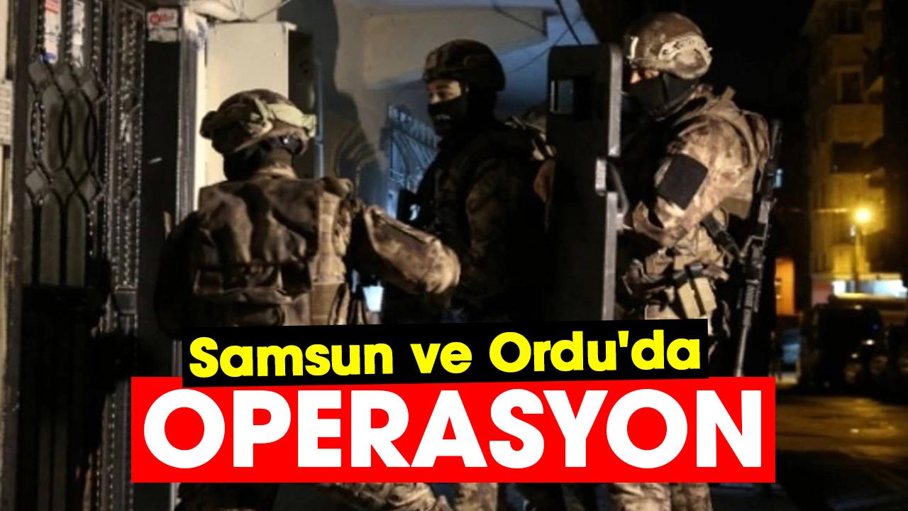 Samsun ve Ordu'da operasyon