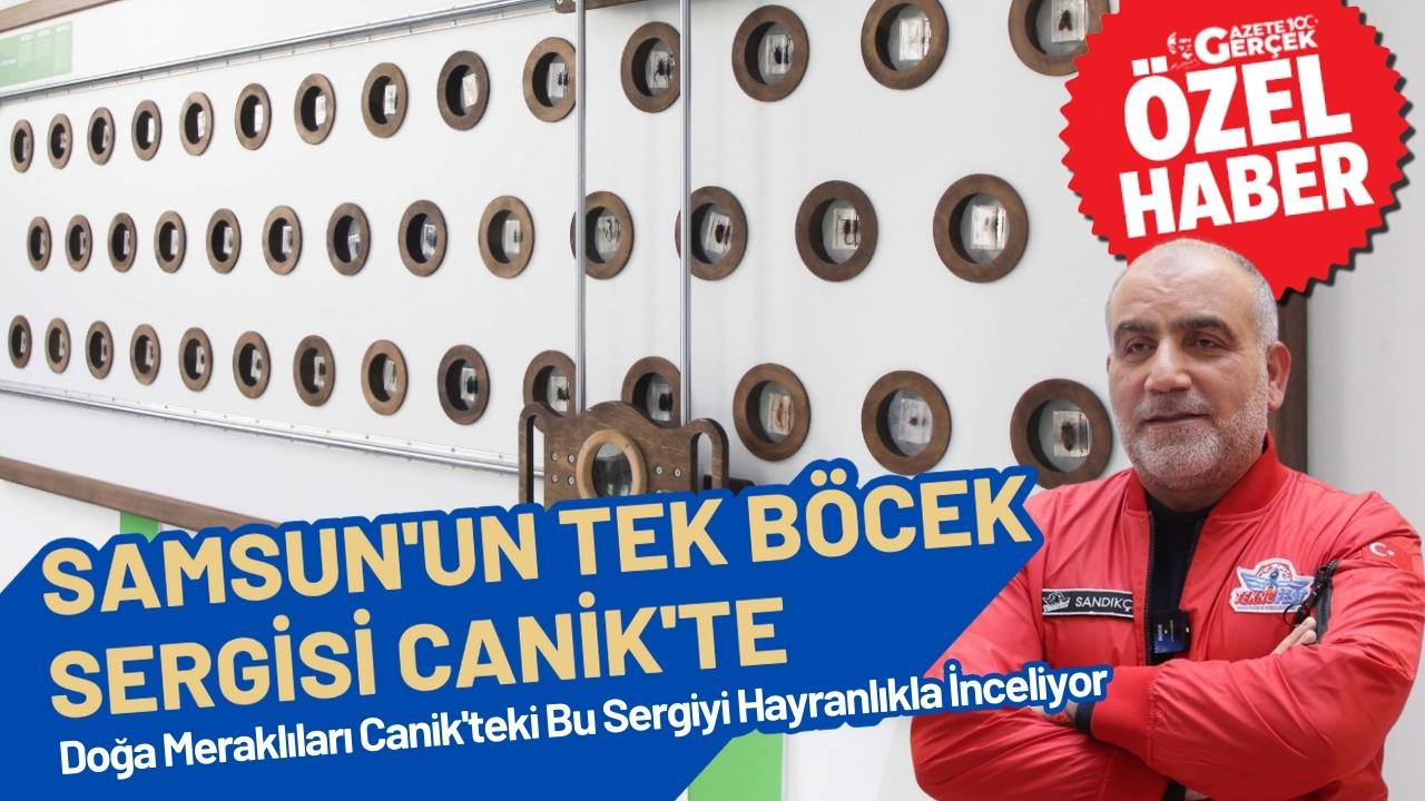 Samsun'da Canik Keşif Kampüsü'ndeki Böcek Sergisi Şaşırtıyor