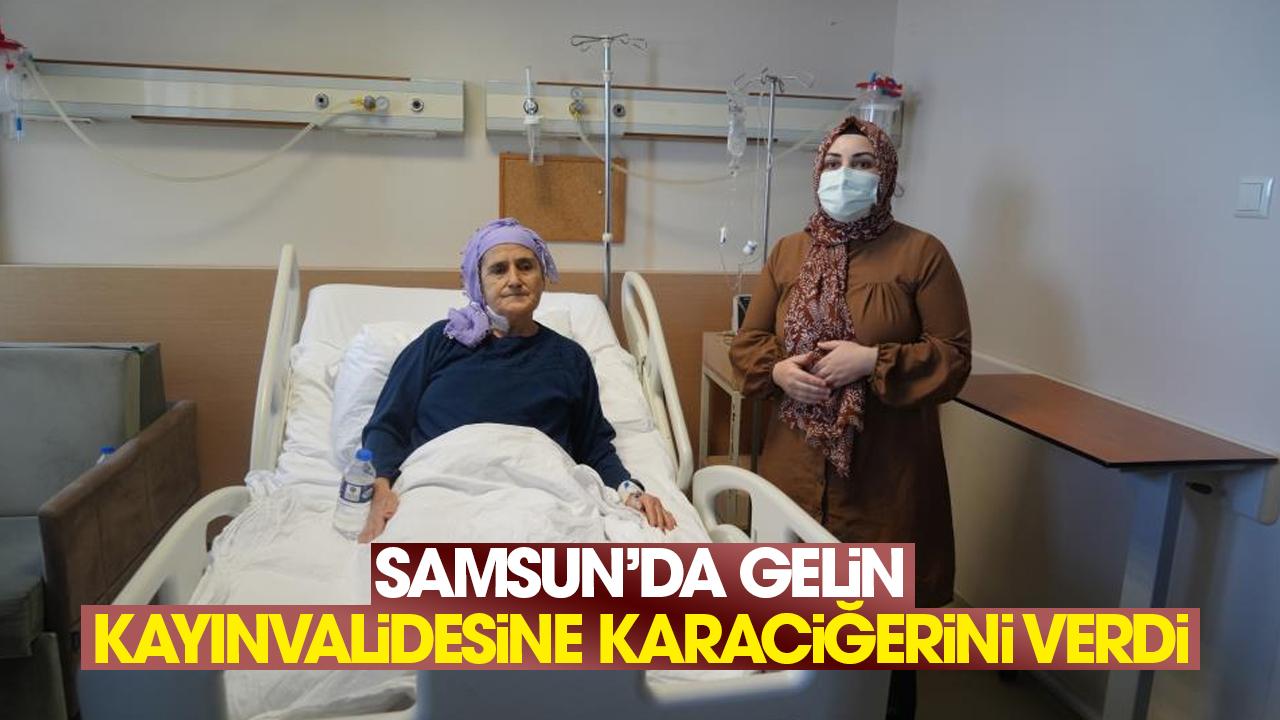 Samsun'da gelin kayınvalidesine karaciğerini verdi