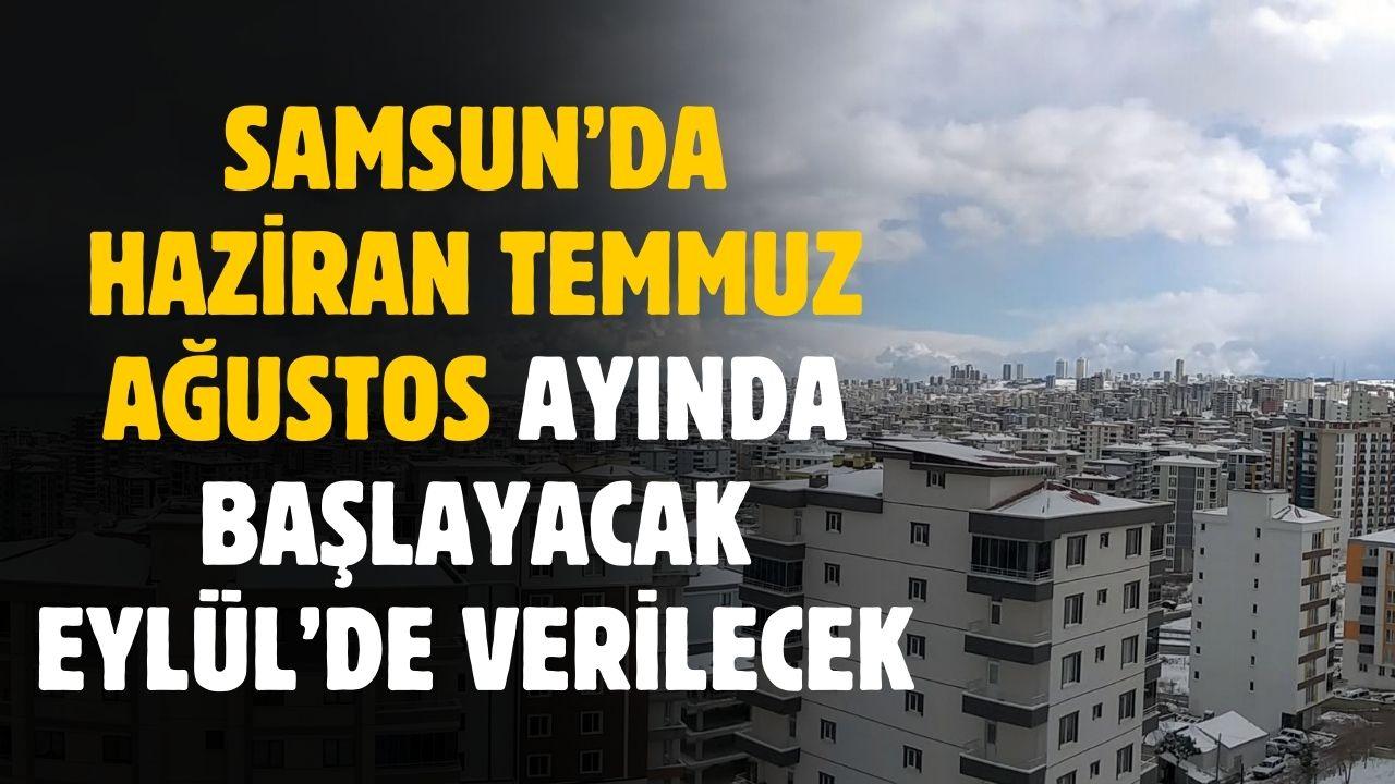 Samsun'da Haziran Temmuz Ağustos aylarında başlayacak Eylül'de dağıtılacak