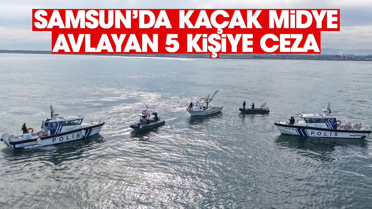Samsun'da kaçak midye avcılığı yapan kişilere ceza kesildi