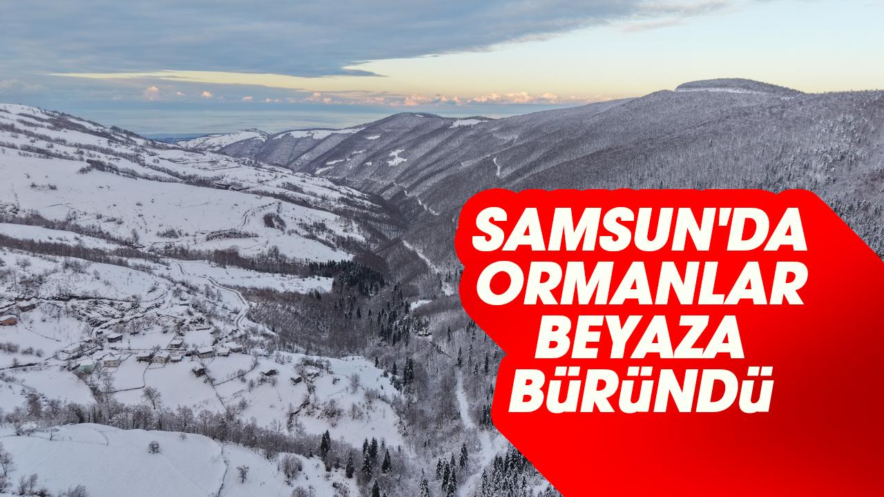 Samsun'da ormanlar beyaza büründü
