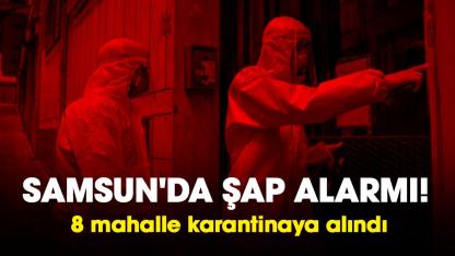 Samsun'da şap alarmı! 8 mahalle karantinaya alındı