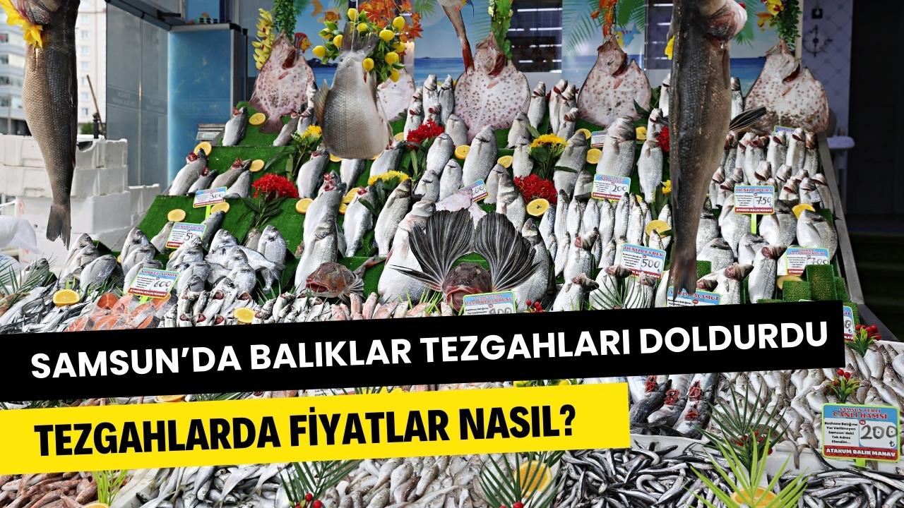 Samsun'da tezgahlarda balık bolluğu yaşanıyor